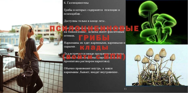 mix Приозерск