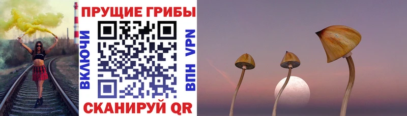 купить закладку  Алдан  Галлюциногенные грибы мухоморы 